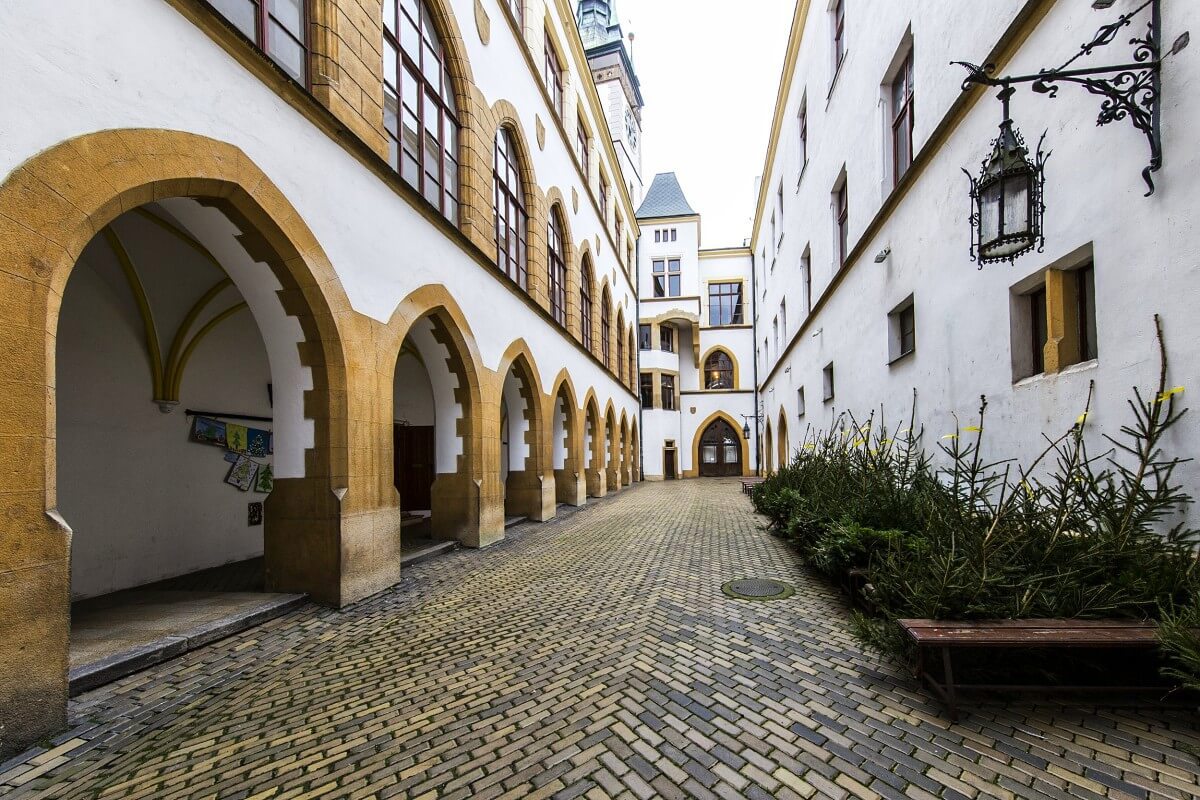Obrázek /media/11dlfdu2/olomouc_radnice_001.jpg