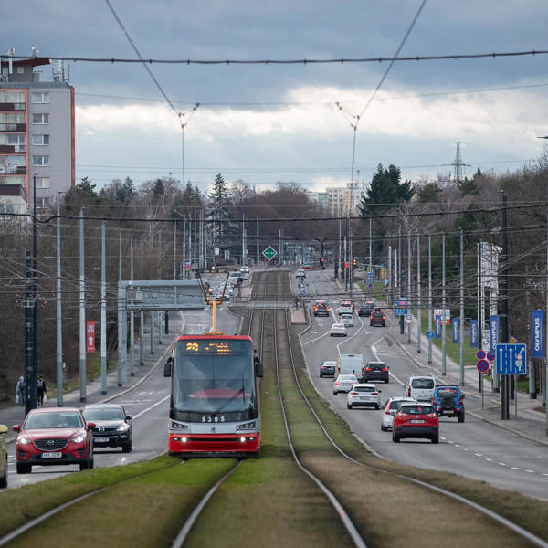 Obrázek /media/3apfju2c/_dsc6362.jpg