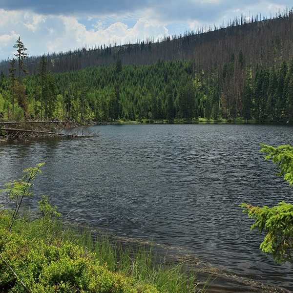 Obrázek /media/43tk124m/prasilske_jezero.jpg