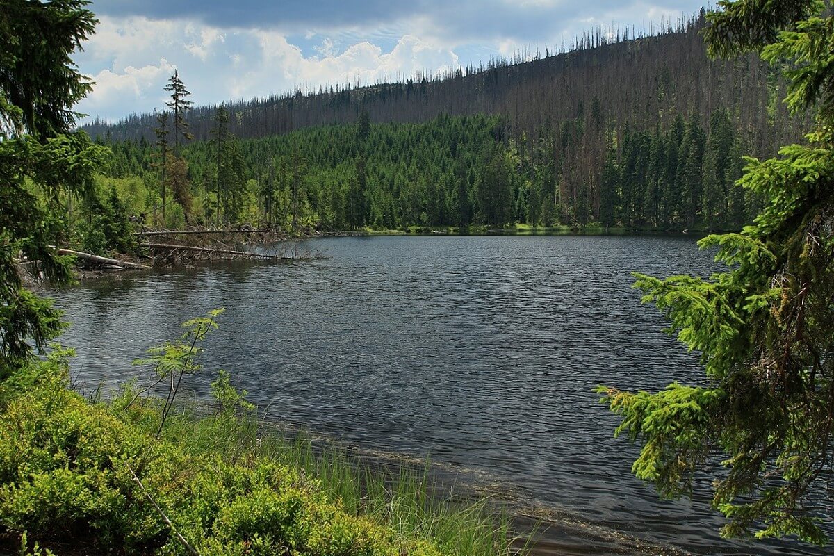 Obrázek /media/43tk124m/prasilske_jezero.jpg