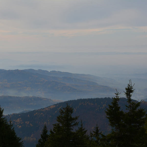 Obrázek /media/4i5l4qss/dsc_7812.jpg