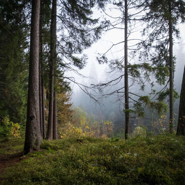 Obrázek /media/5bcbtyuy/_dsc9406.jpg