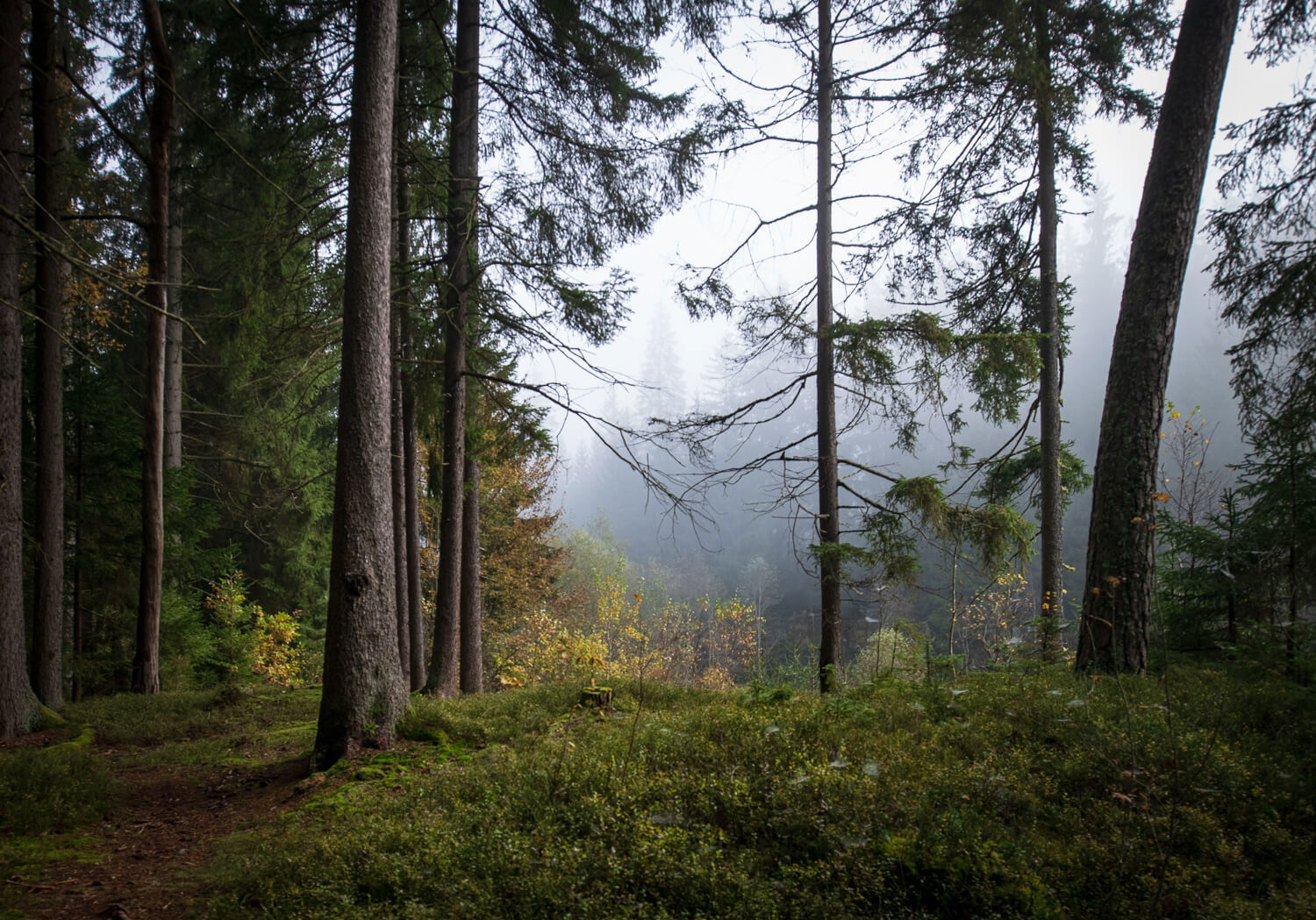 Obrázek /media/5bcbtyuy/_dsc9406.jpg
