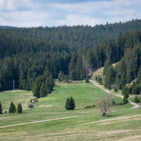 Obrázek /media/a32evq3u/jelení-osada-kv-cfc-3.jpg