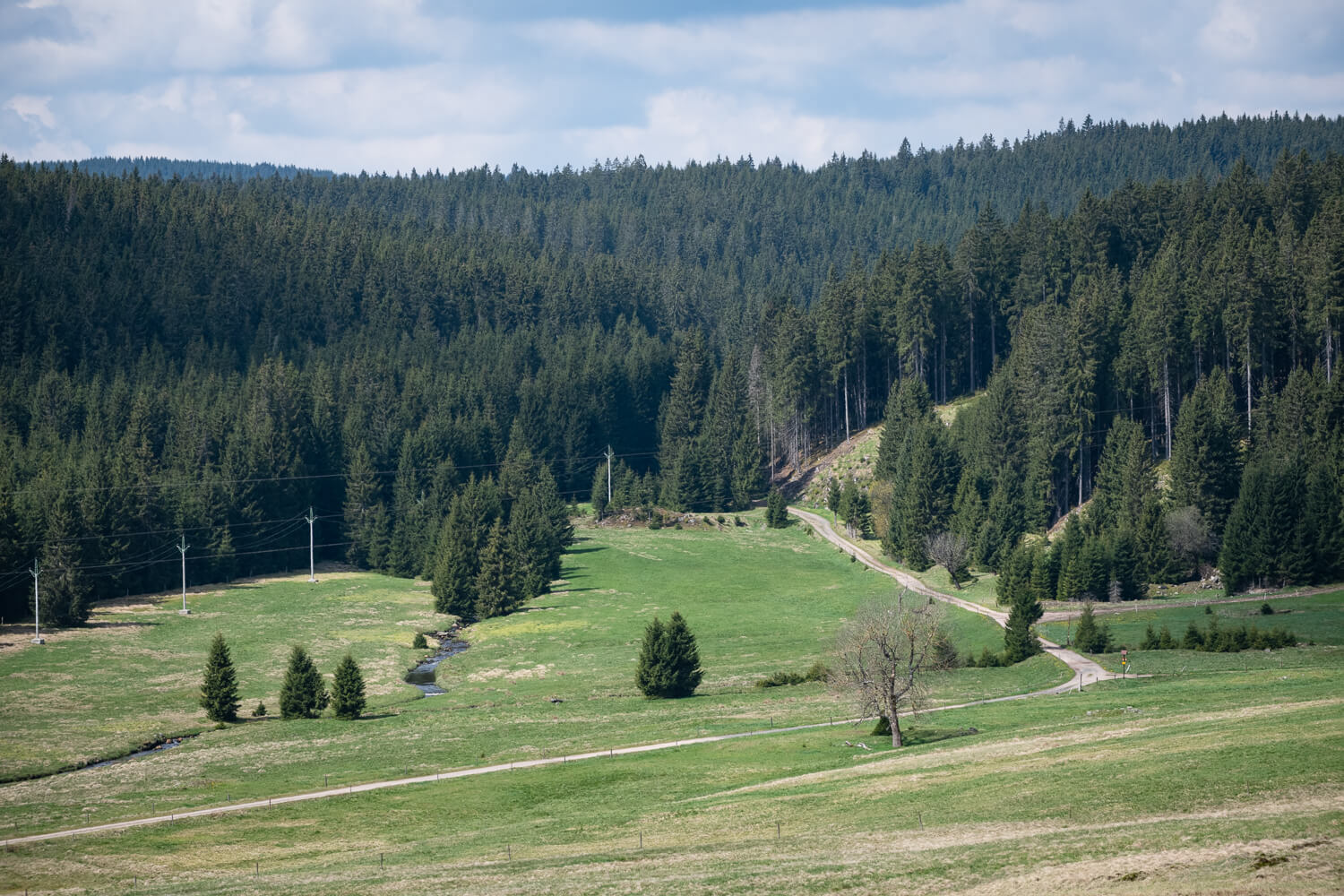 Obrázek /media/a32evq3u/jelení-osada-kv-cfc-3.jpg