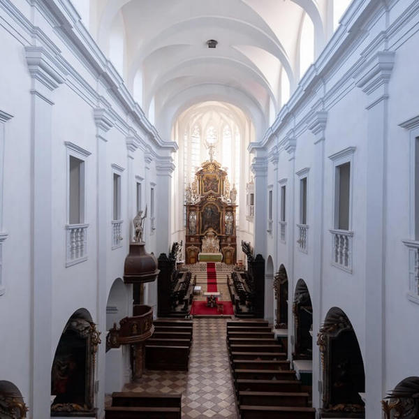 Image /media/apjpwjmz/klaster_louka_04.jpg