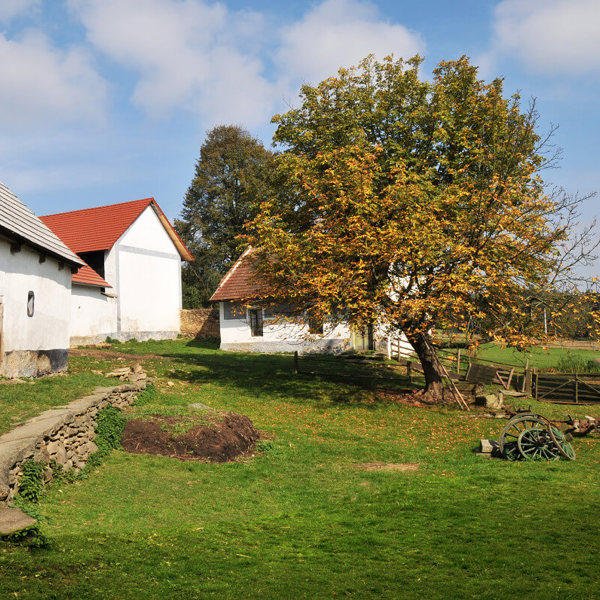 Obrázek /media/bnqpvzc1/dsc_4790.jpg