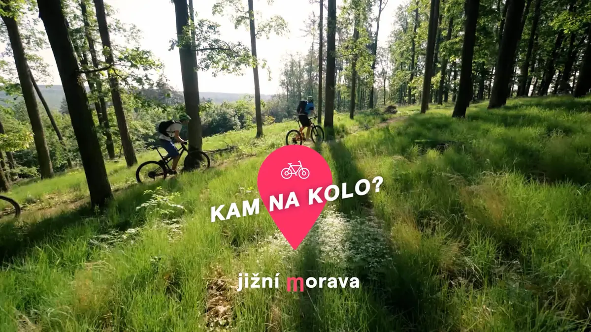 Obrázek /media/brhhr5ap/showreel-na-sirku-06.jpg