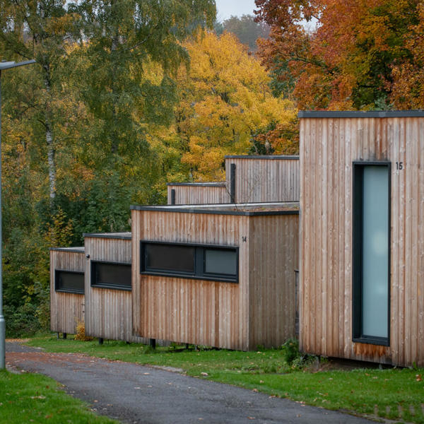 Image /media/buyft4ln/_dsc3751.jpg