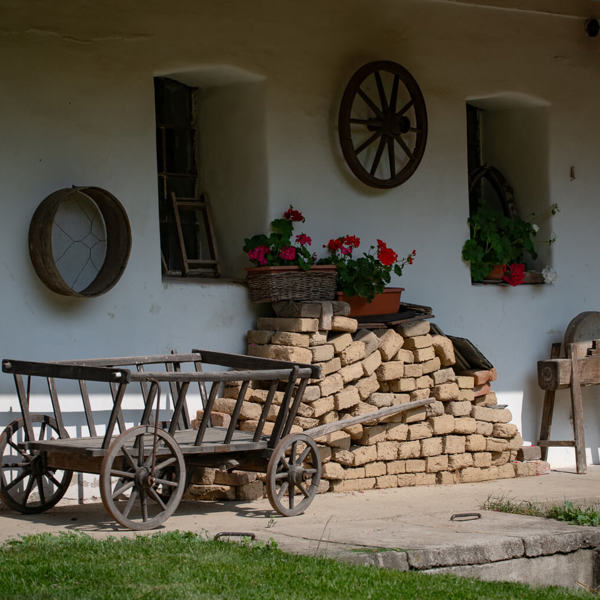 Obrázek /media/ce1felww/_dsc7268.jpg