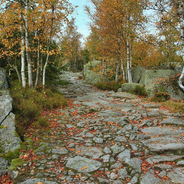 Obrázek /media/ch1hg5i0/np_sumava4.jpg