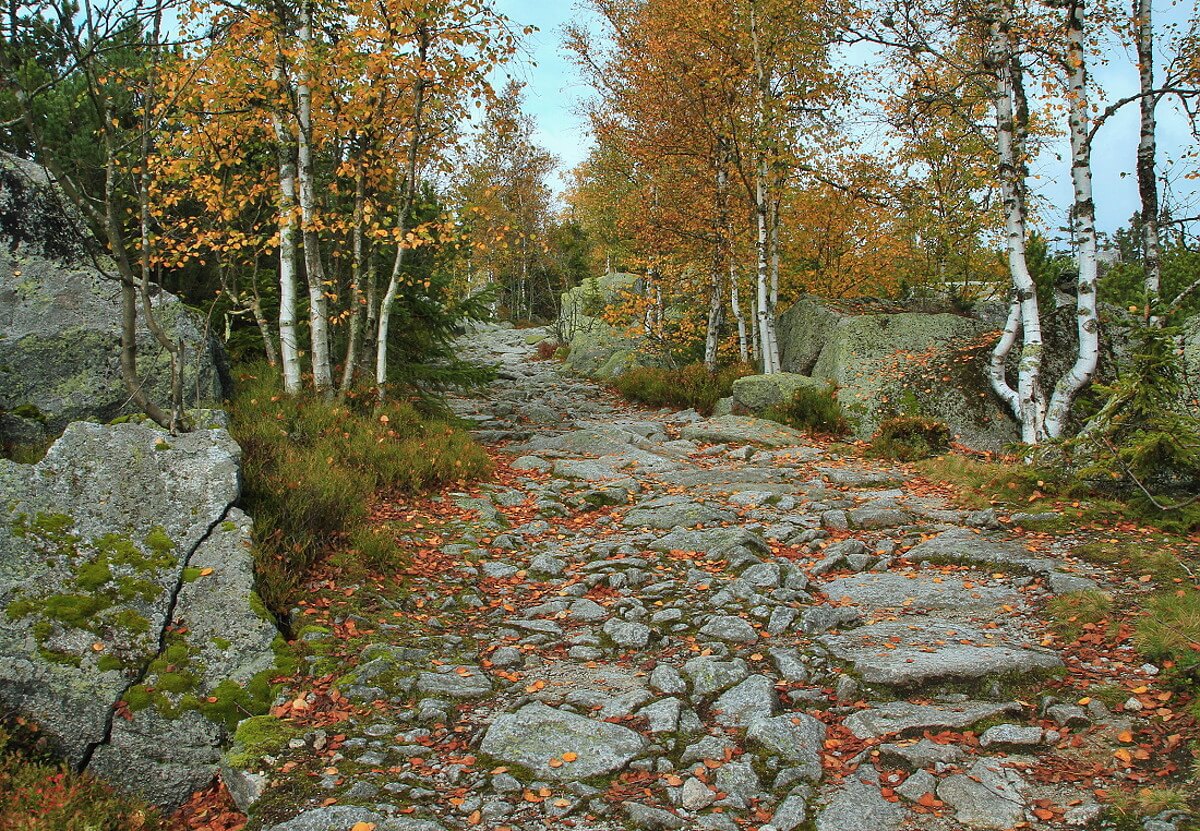 Obrázek /media/ch1hg5i0/np_sumava4.jpg