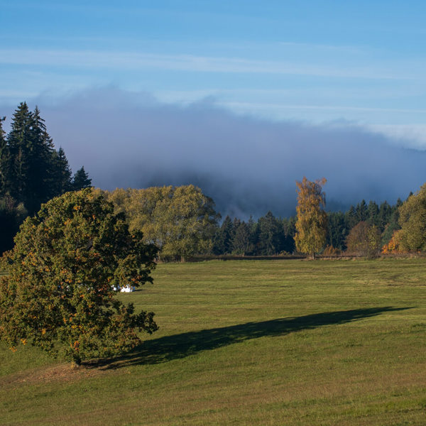 Obrázek /media/d5ppyqyj/_dsc9344.jpg