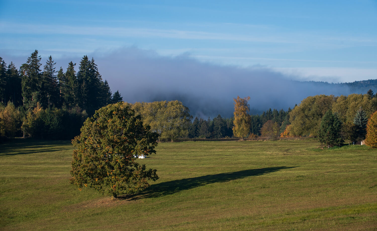 Obrázek /media/d5ppyqyj/_dsc9344.jpg