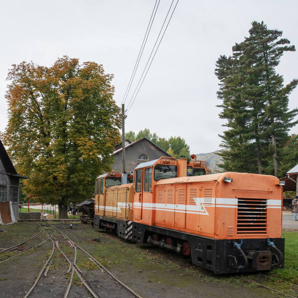 Obrázek /media/dnddnsyj/_dsc3214.jpg