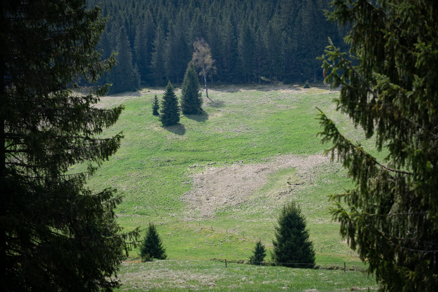 Obrázek /media/ds5oqe5a/jelení-osada-kv-cfc-5.jpg