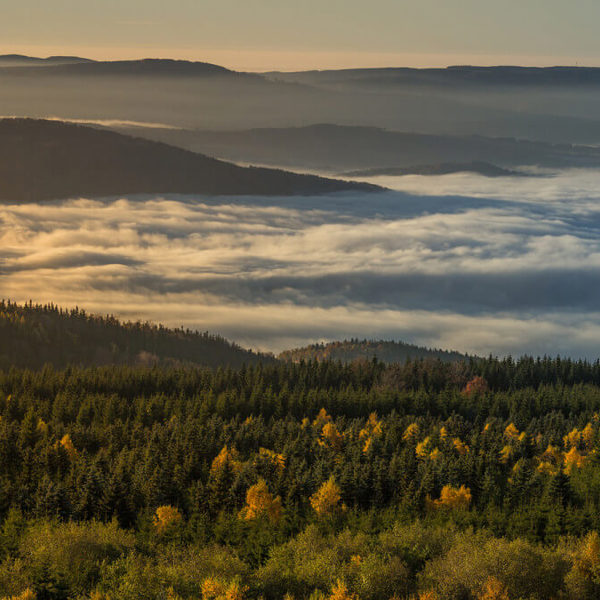 Obrázek /media/eeajxcks/krusne-hory-podzim-1423.jpg