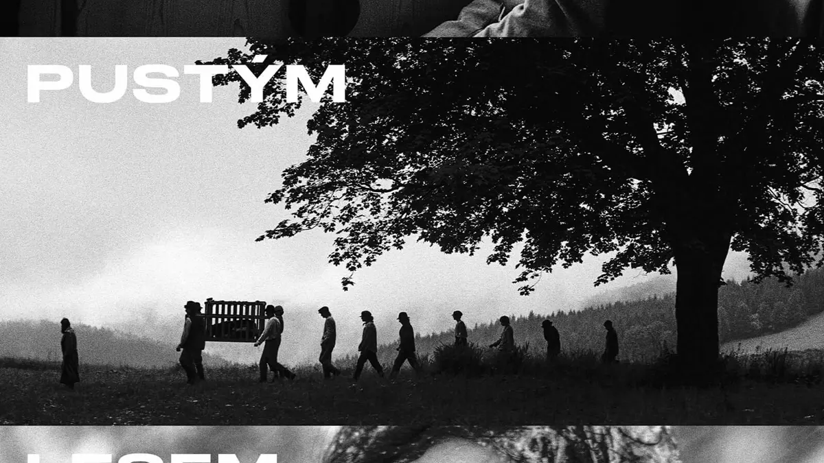 Image /media/enkh0hmm/cesta-pustym-lesem-artcam-a1-rgb.jpg