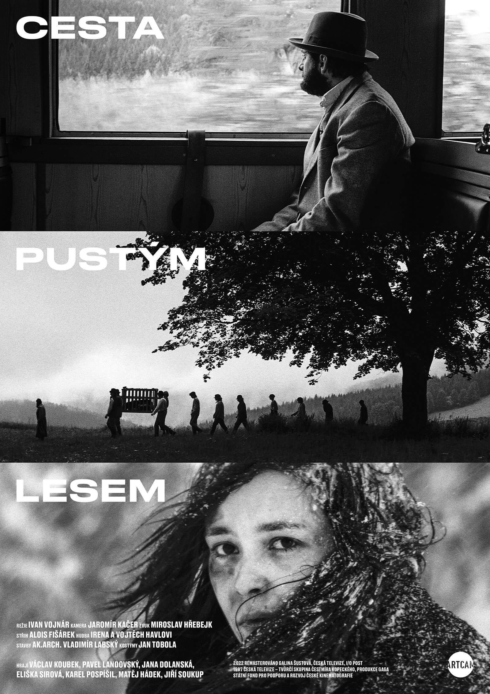 Image /media/enkh0hmm/cesta-pustym-lesem-artcam-a1-rgb.jpg