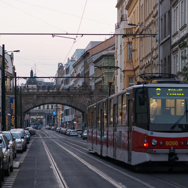 Obrázek /media/ezsjxigv/dsc_2433.jpg