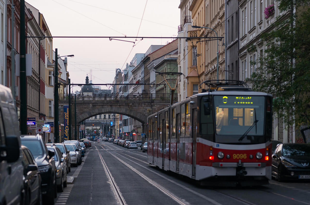 Obrázek /media/ezsjxigv/dsc_2433.jpg