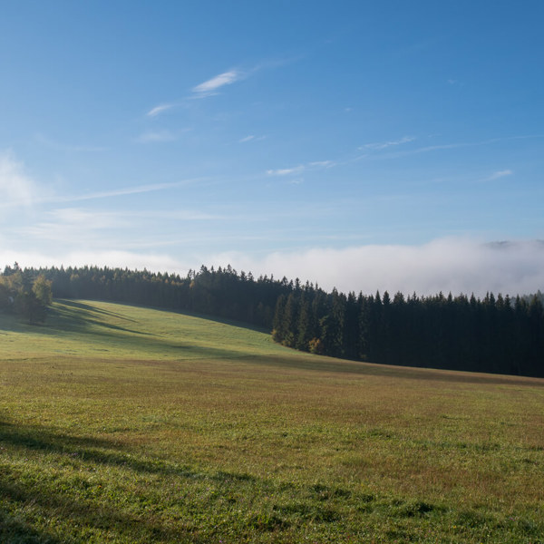 Obrázek /media/fagft3mq/_dsc9335.jpg