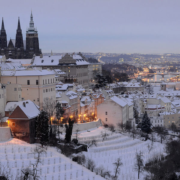 Obrázek /media/faoneqwb/dsc_7704.jpg
