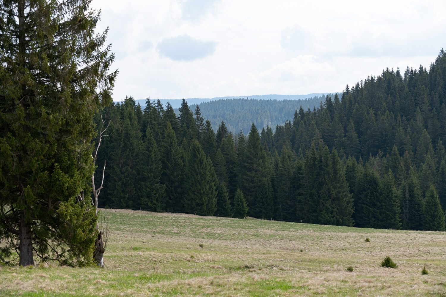 Obrázek /media/fzidx0ni/jelení-osada-kv-cfc-4.jpg
