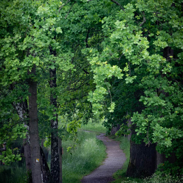 Obrázek /media/gx2bl4xs/_dsc1055.jpg
