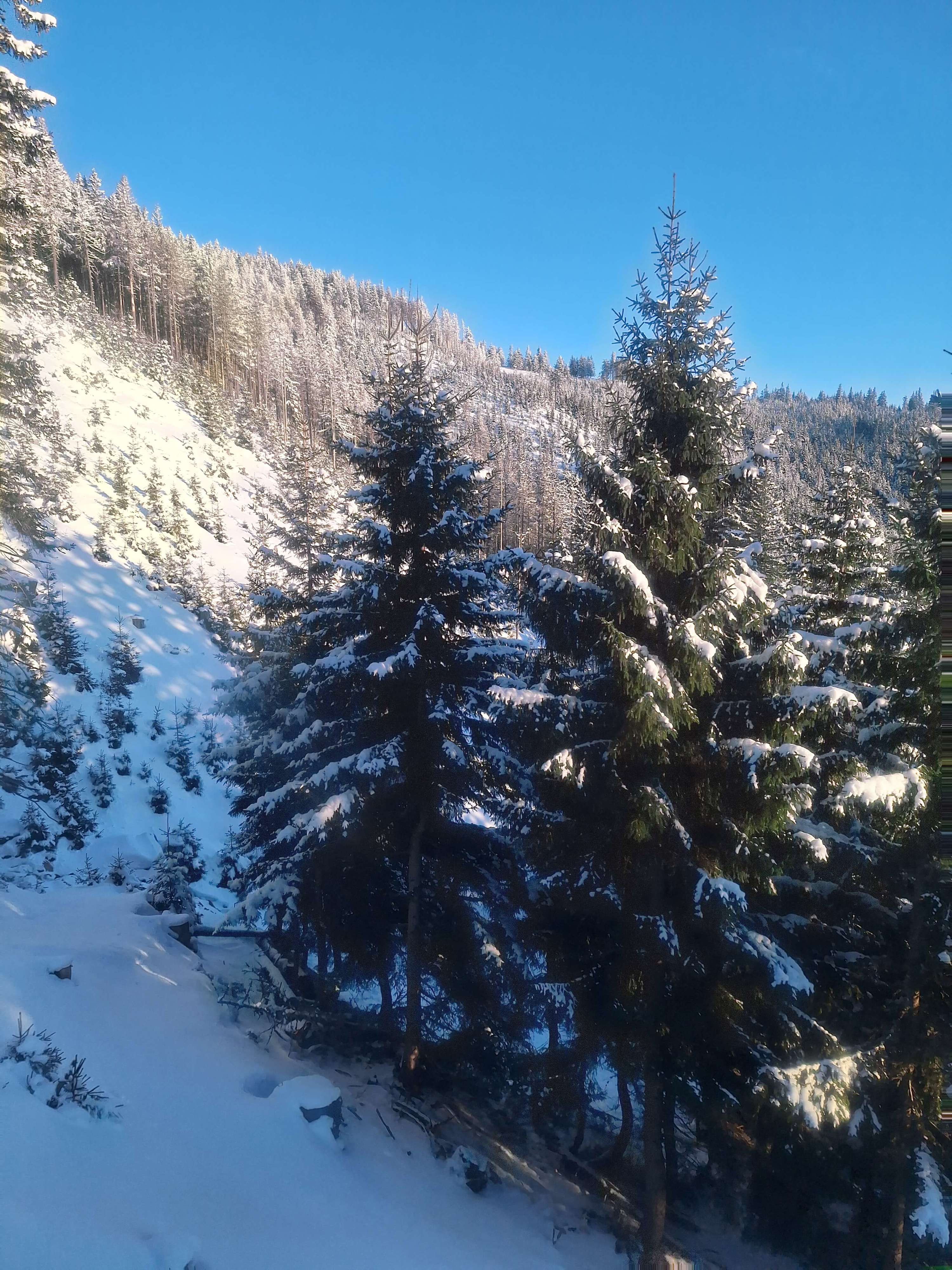 Obrázek /media/h3nlbeaa/20250218_164138.jpg