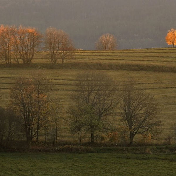 Obrázek /media/hichvjwu/countryside.jpg