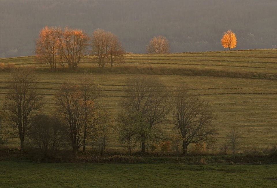 Obrázek /media/hichvjwu/countryside.jpg