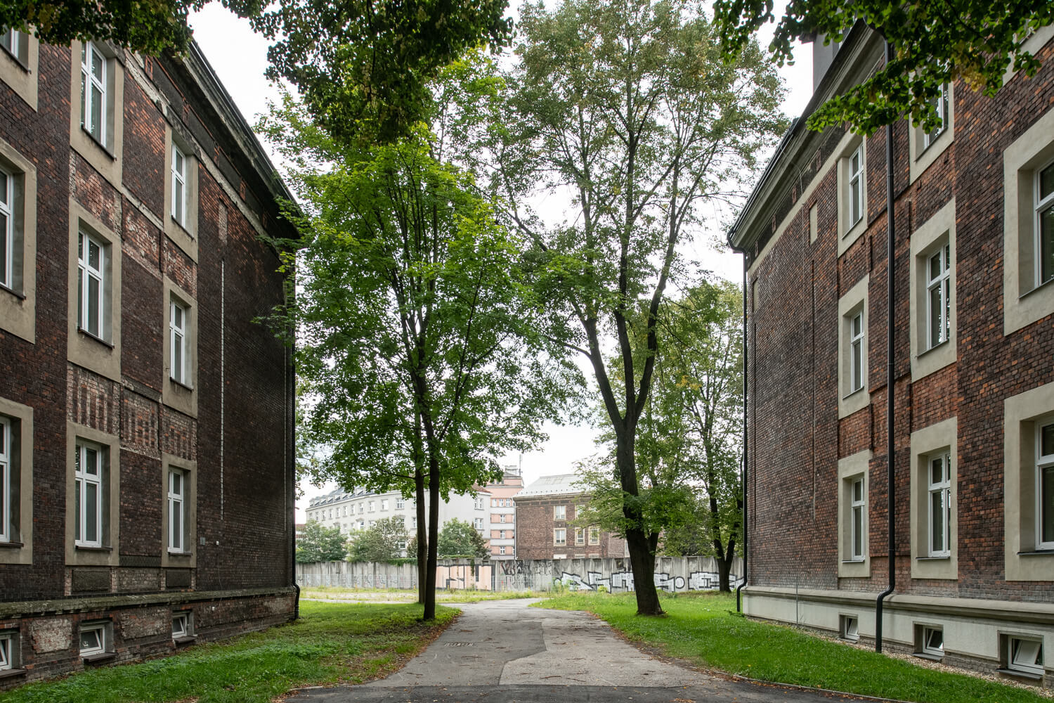 Image /media/hjwgnqjh/_dsc9805.jpg