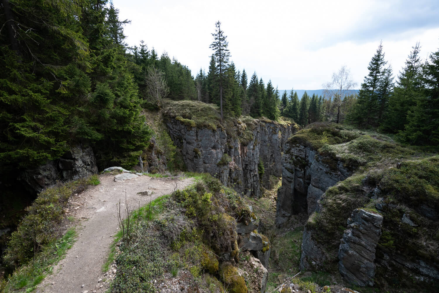 Obrázek /media/hkfj24bu/dsc8015.jpg