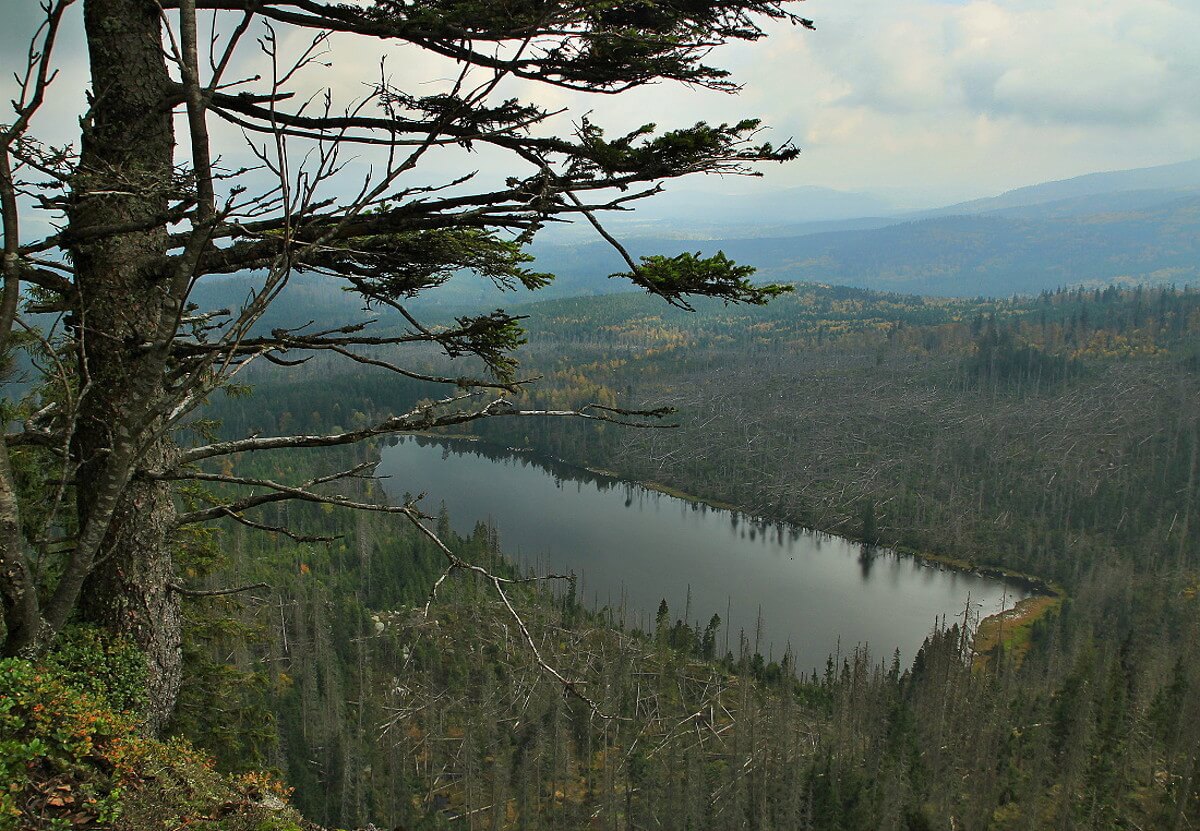 Obrázek /media/hnhan4po/plesne_jezero_2.jpg