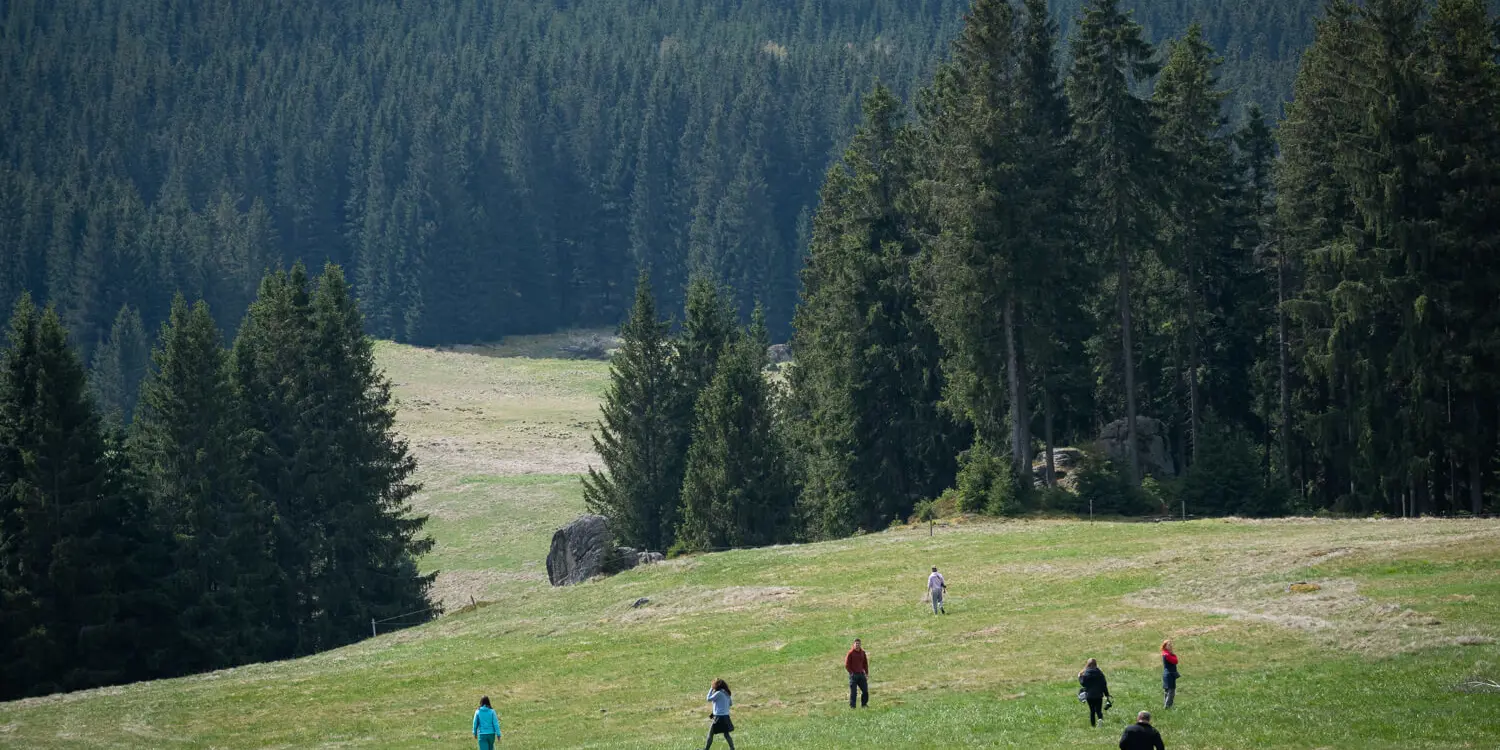 Obrázek dsc7904.jpg