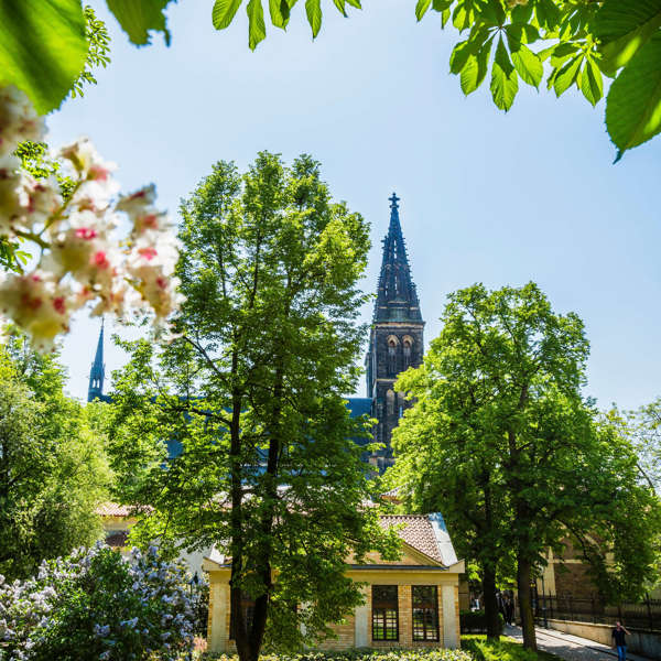 Obrázek /media/hx2bx00k/vysehrad_10_full.jpg