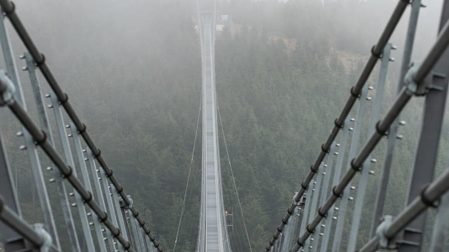 Ilustrační obrázek článku 'Dolní Morava Sky Bridge a Stezka korunami stromů'