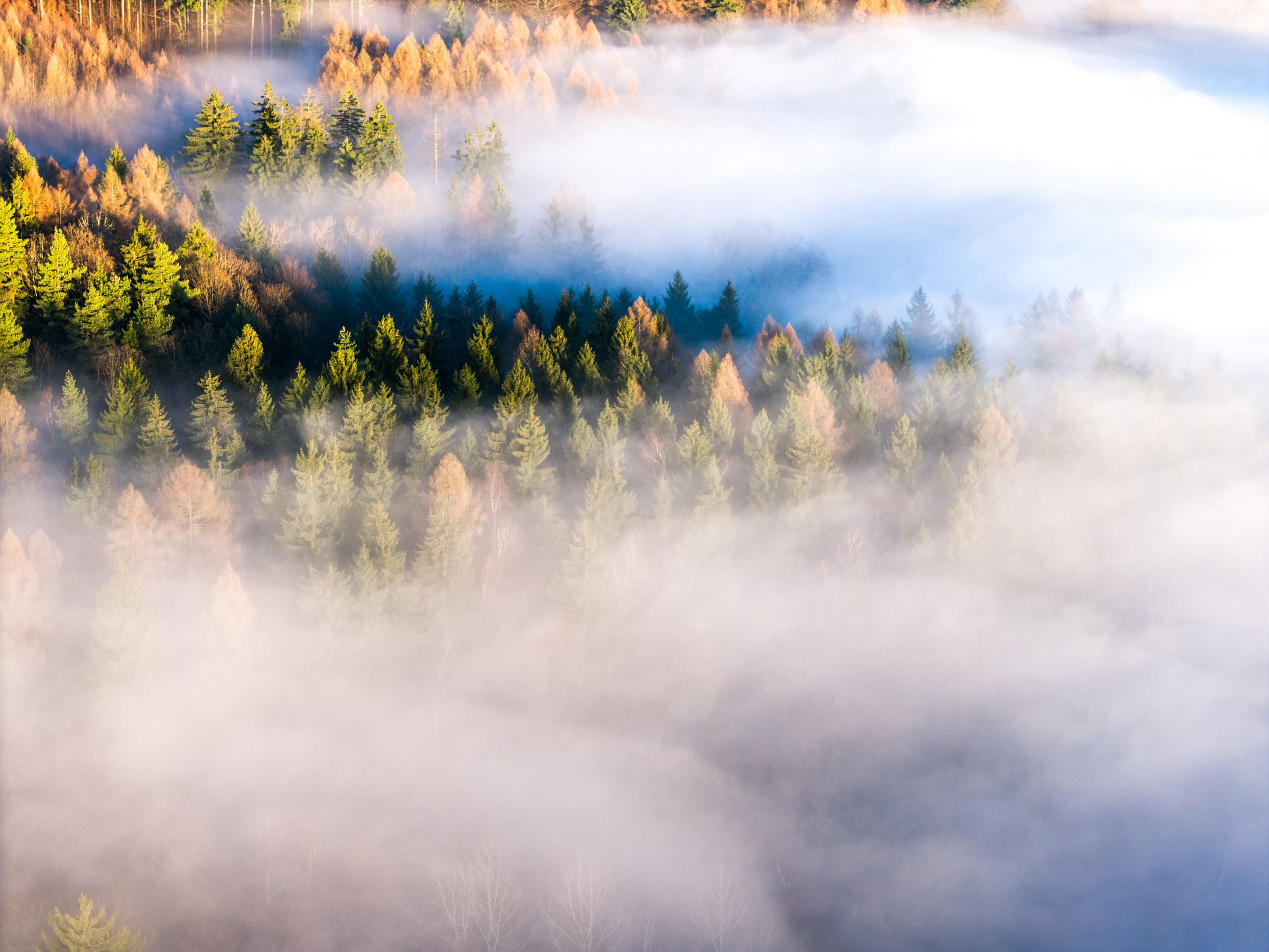 Obrázek /media/ingjjq4a/dji_20251221151207_0033_d-2.jpg