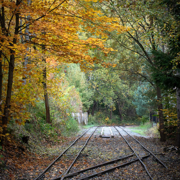 Obrázek /media/j3xn41fz/_dsc3250.jpg