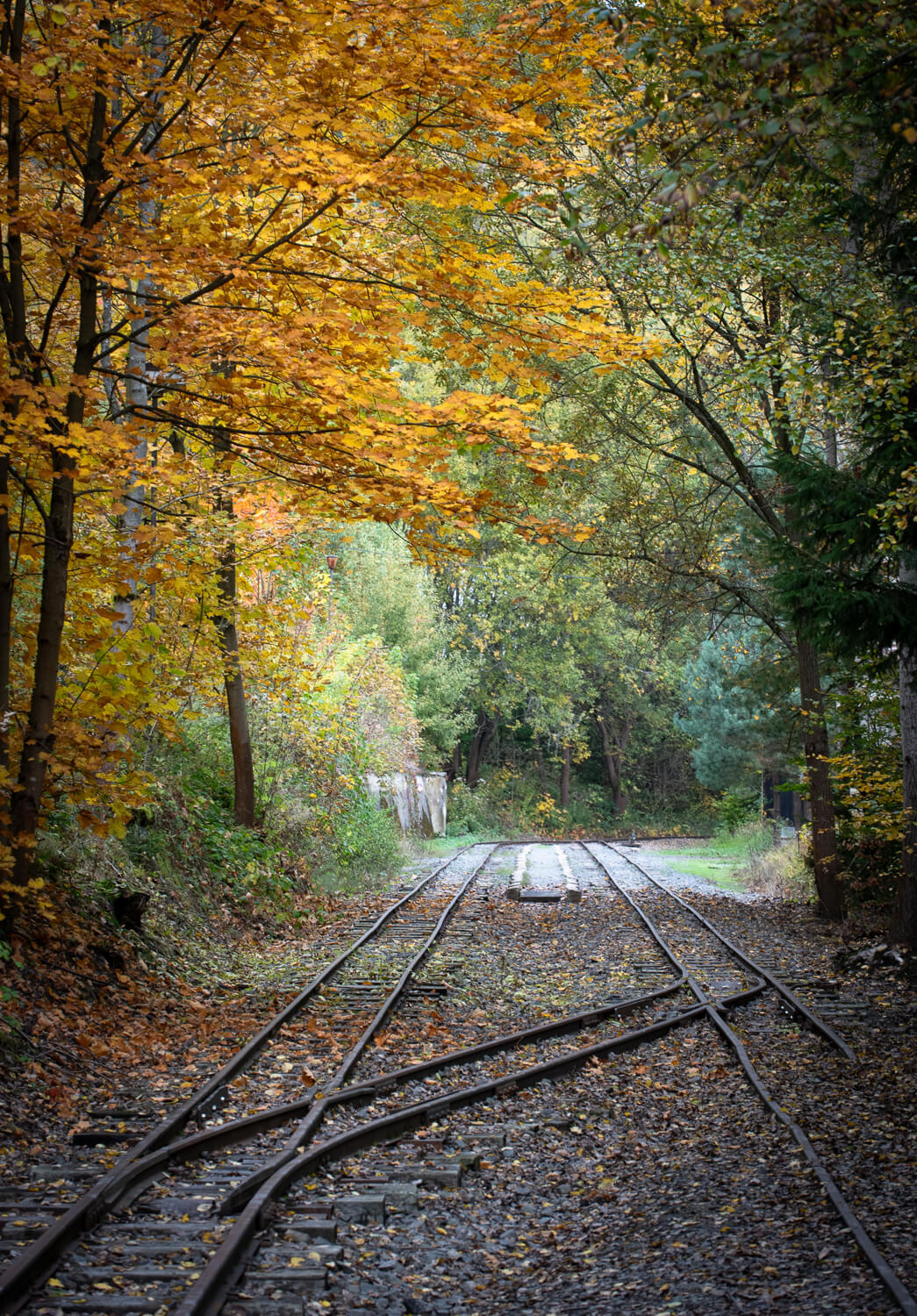 Obrázek /media/j3xn41fz/_dsc3250.jpg