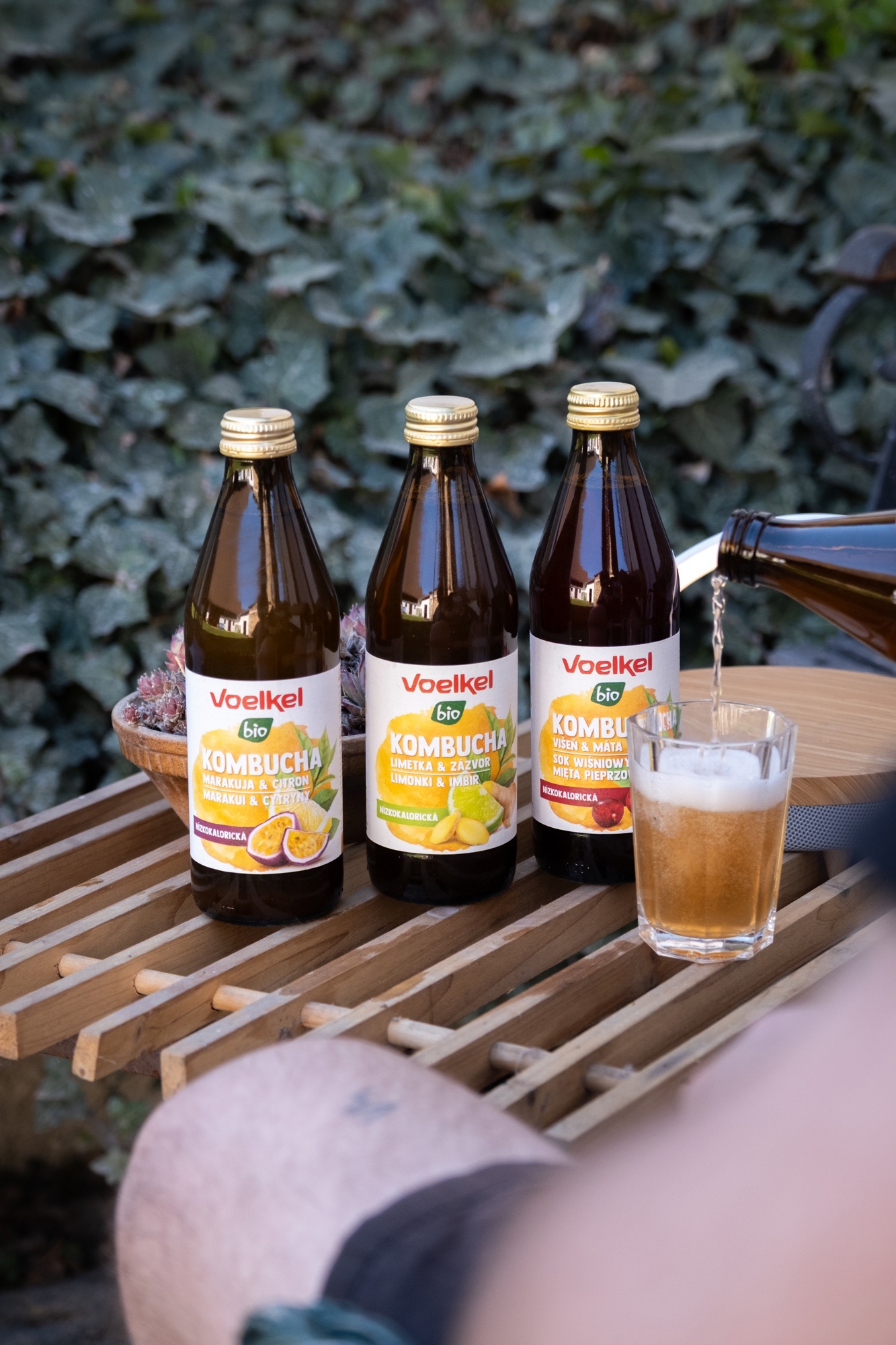 Obrázek /media/jc3jkp2v/kombucha-4.jpg