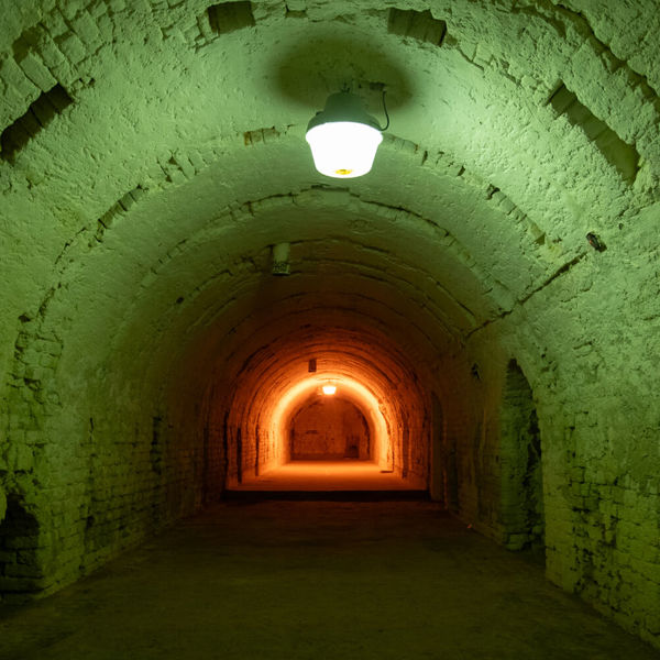 Obrázek /media/jtqjqmu2/_dsc0489.jpg