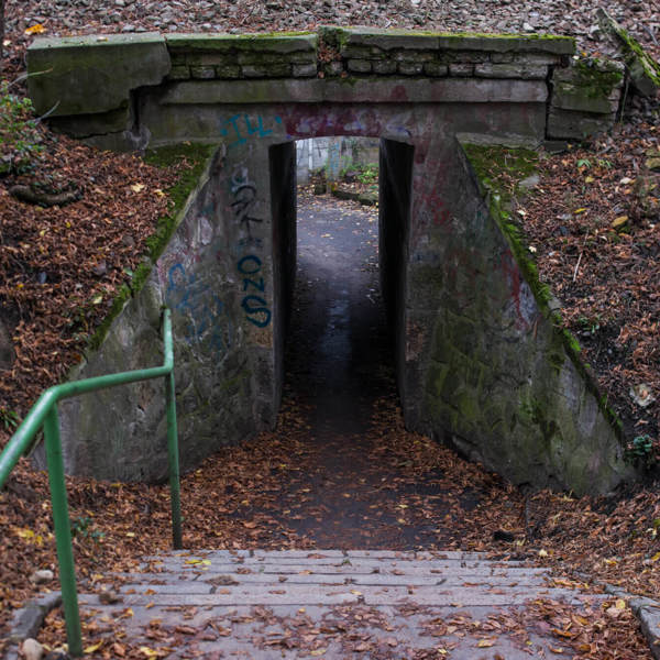 Obrázek /media/k0vph3b2/dsc_4989.jpg
