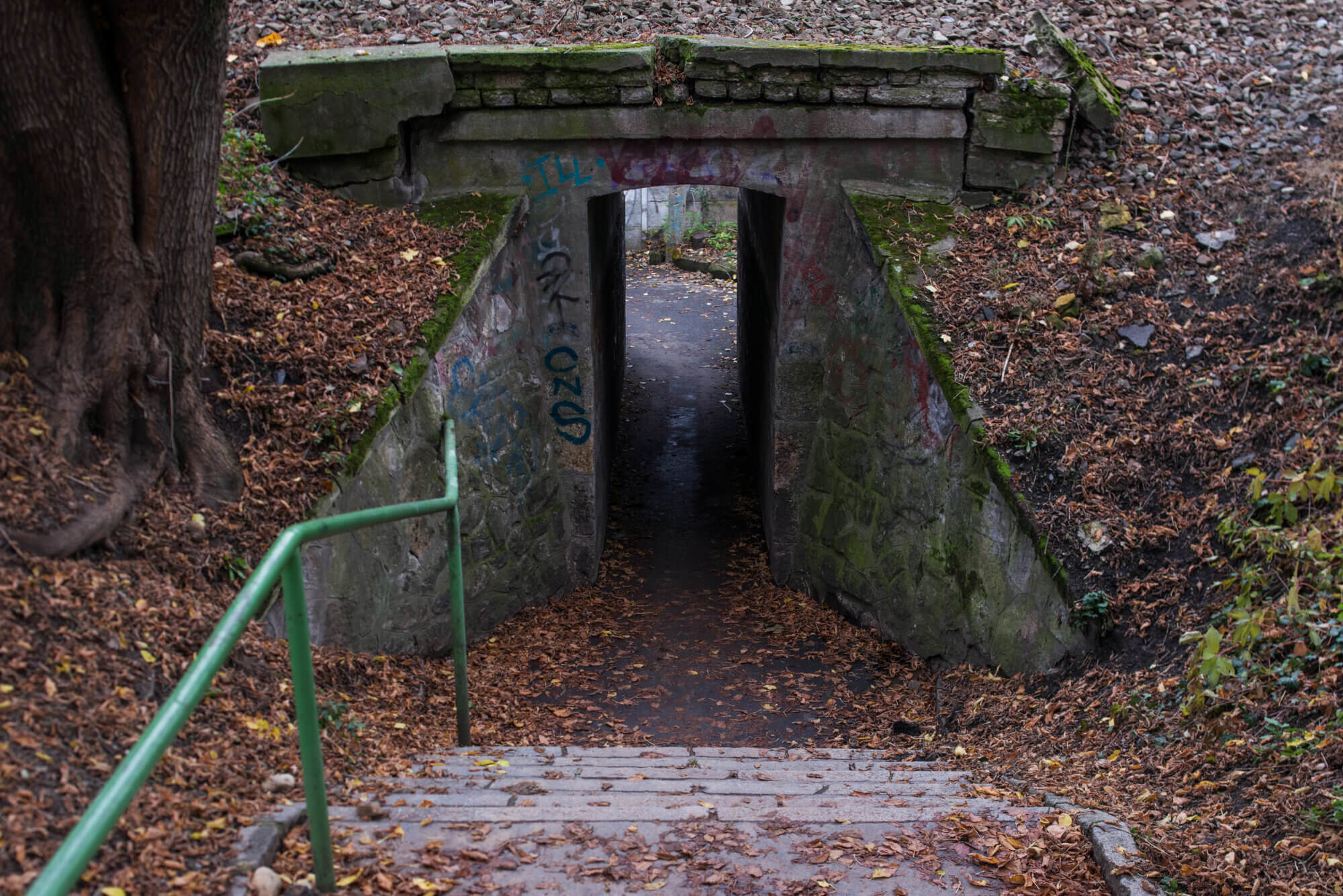 Obrázek /media/k0vph3b2/dsc_4989.jpg