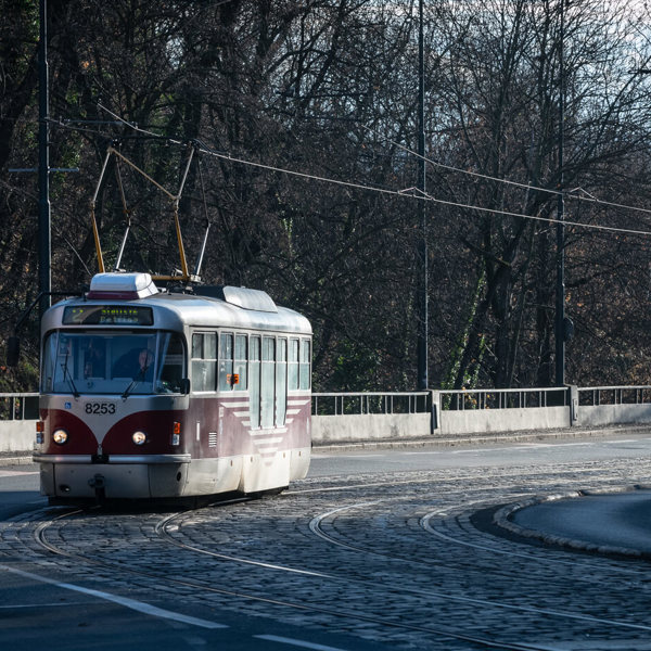 Obrázek /media/k14jwy5v/_dsc5915.jpg