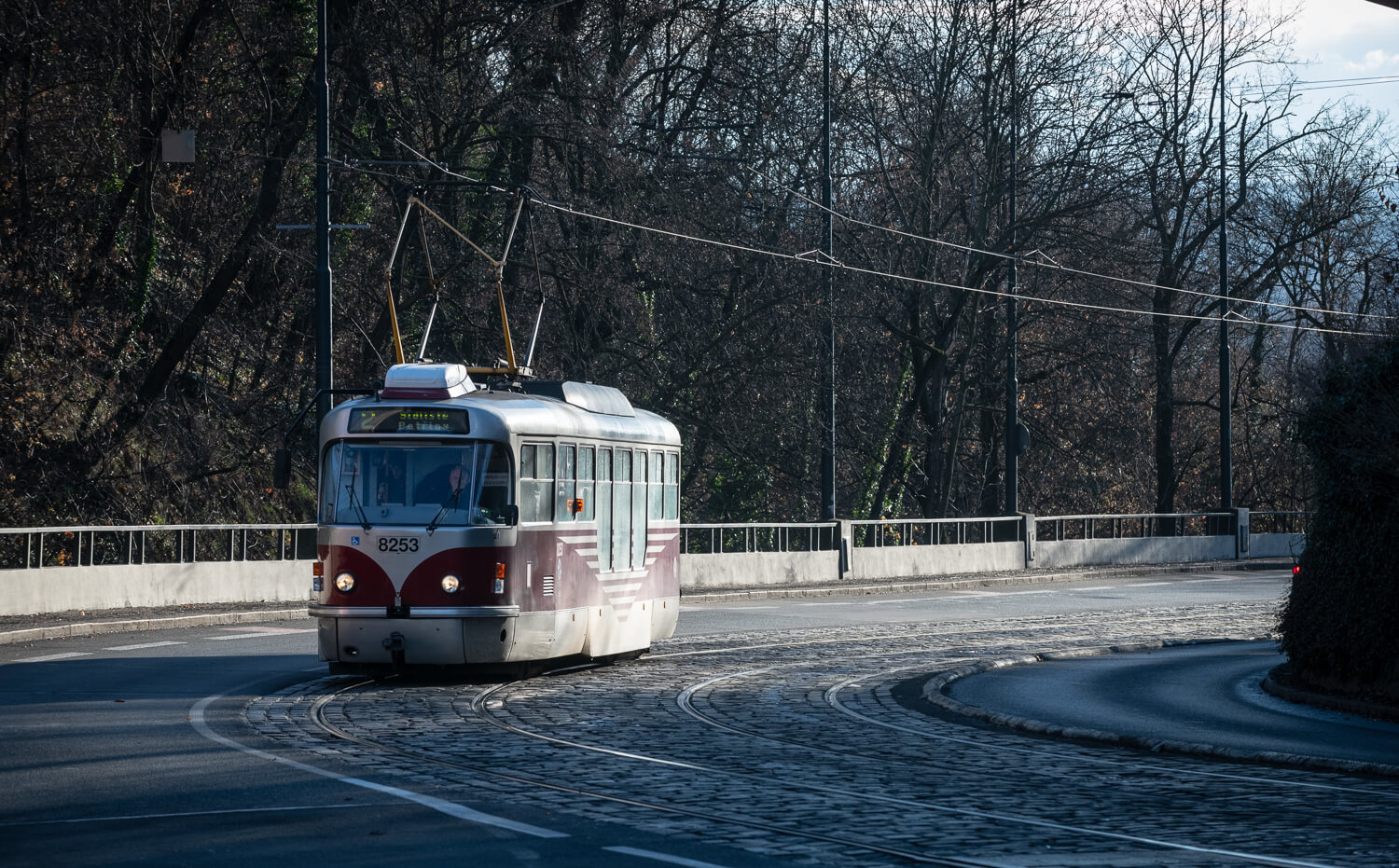 Obrázek /media/k14jwy5v/_dsc5915.jpg
