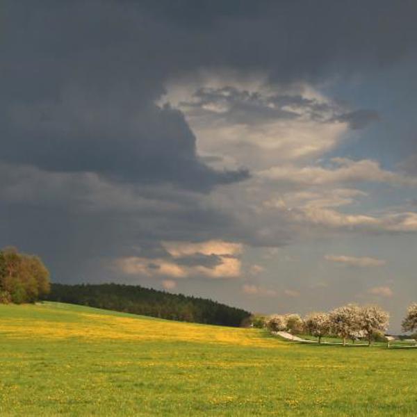 Obrázek /media/k1qofkp0/countryside20.jpg