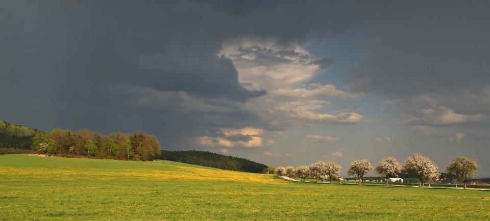 Obrázek /media/k1qofkp0/countryside20.jpg