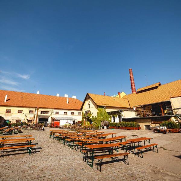 Obrázek /media/k3iadcee/pivovar_kostelec_nad_cernymi_lesy_sccr_7.jpg